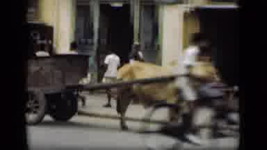 Suez Canal Egypt (1946): Blacks Discriminated Against In Poverty Working