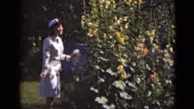 New York (1947): Women Sniffing Her Plants