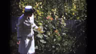 New York (1947): Woman Enjoying Garden