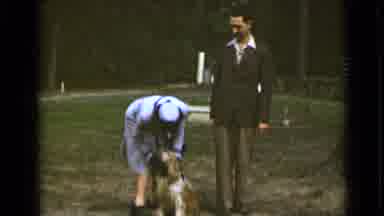 New York (1947): Couples Walking In The Park And They Find A Homeless Dog