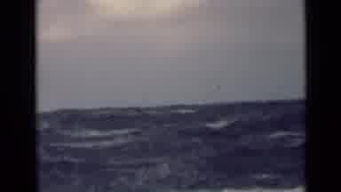 Persian Gulf (1947): Very Round Waves In The Ocean With A Cloudy Sky Above