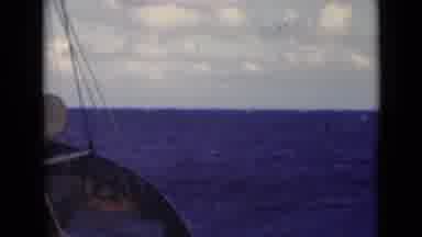 Persian Gulf (1947): Bow Of A Boat Following The Movement Of The Waves Of The Blue