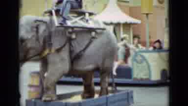 San Francisco California (1937): Video Of An Elephant And Then Two Women Standing
