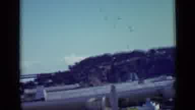 San Francisco California (1937): A Bunch Of Animals Coming Out A Door Running Fast