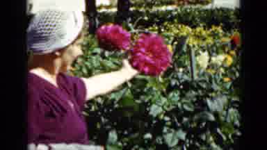 San Francisco California (1937): Women Playing With The Flowers In Her Bushes