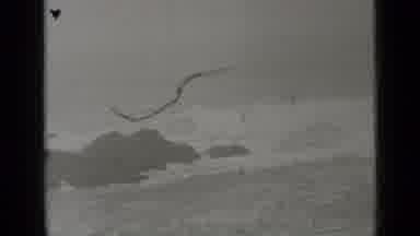 San Francisco California (1937): Huge Waves Breaking On Large Rocks As They Near