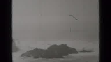 San Francisco California (1937): White Waves Violently Crashing Against Black
