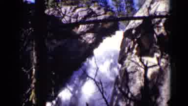 Colorado USA (1938): A Walk In Nature Amongst The Trees Of A Forest And By A
