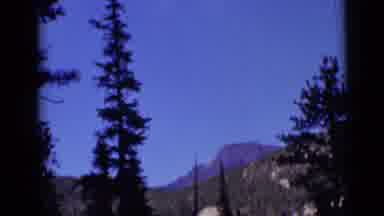 Colorado USA (1938): Evergreen Trees Against A Blue Sky & Mountain Then People