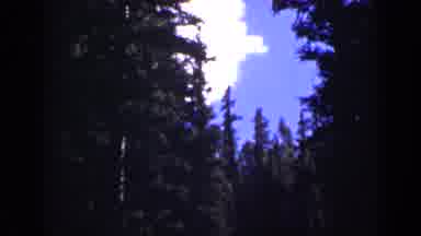 Colorado USA (1938): Video Of A Forest Then Camera Pans Down Showing A Lake With A