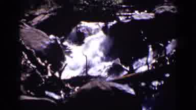 Colorado USA (1938): Stream Rocks Tree Limbs Woman Smiling While Crouching On