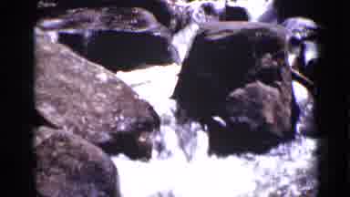 Colorado USA (1938): Group Of People Hanging Out By The River