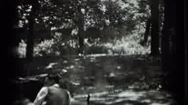 Clear Lake California (1939): A Group Of People Sit At A Table In The Woods As A