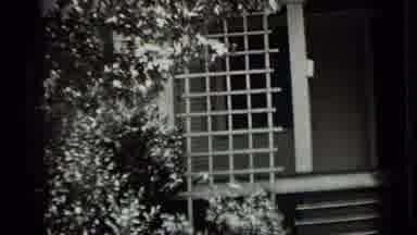 Clear Lake California (1939): First A Shot Of A Porch With Plants And Door Showing
