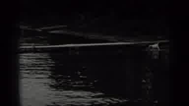 Clear Lake California (1939): An Old Woman A Dog And Two People Walking Towards On