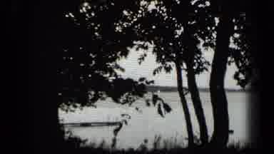 Clear Lake California (1939): A View From Behind Some Trees Latching People Swim
