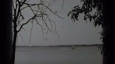 Clear Lake California (1939): Boats In The Water By A Tree
