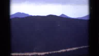 Colorado USA (1939): A Big Mountain Full Of Trees And A Road With Pine Trees