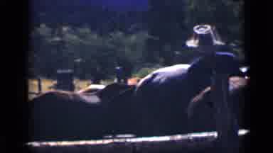 Colorado USA (1939): Man In Corral With Horses Two Golden Colored Dogs Looking At