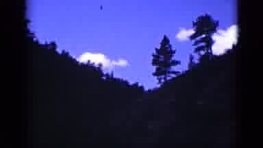 Colorado USA (1939): Mountain With Lots Of Trees And A Blue Sky With Clouds