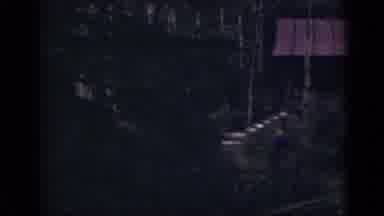 Colorado USA (1939): A View In The Dark Of A Lone Person Walking Through The Woods