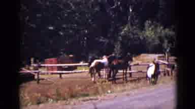 Colorado USA (1939): The House Is Nestled Behind The Trees And The Fence That