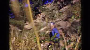 Colorado USA (1939): Lady In Purple In A Fieldside In Rural Country Area