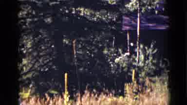 Colorado USA (1939): Beautiful Outdoor Scenery Featuring A Field Of Tall Grass And