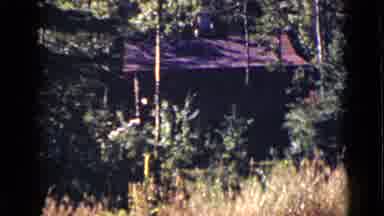 Colorado USA (1939): View Of Brown House And Green Trees On A Sunny Day