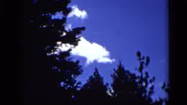 Colorado USA (1939): Sky And Forest Then Horse Eating Grass