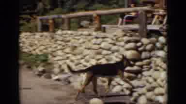 Colorado USA (1939): Too Hot To Have Fun
