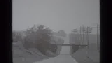 New York USA (1939): A Road With A Bridge And A Farm With Hundreds Of Turkeys