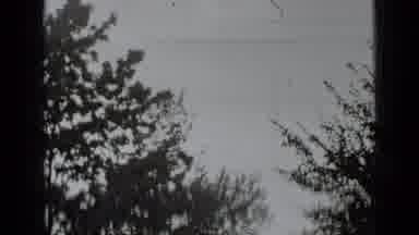 New York USA (1939): Wires In The Sky And Flowers In A Yard