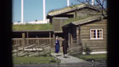 San Francisco California (1939): Old Tree House People Ground Morning Sky Windows