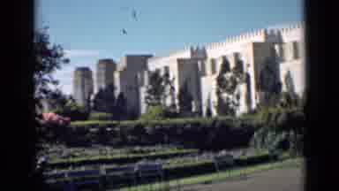 San Francisco California (1939): Large Building Surrounded By Greens Near A White