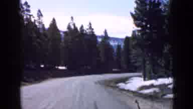 Utah USA (1939): Two Different Roads In A Mountain Surrounded By Trees And Grass