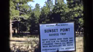 Utah USA (1939): Lush Green Forest Behind A Posted Sign For A Guided Trip Through