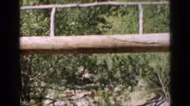 Utah USA (1939): Lady Walking On A Log Bridge Across A Cavern