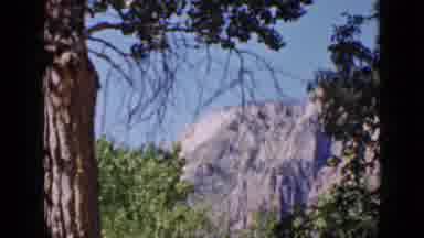 Utah USA (1939): Scenic View From A Tree Of The Grand Canyon
