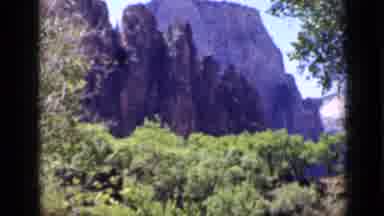 Utah USA (1939): In Forest Trees And Bushes Looking At Mountains And Cliffs In