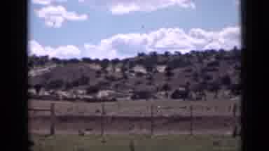 Utah USA (1939): View Of Blue Sky Green Shrubs And Wire Fence On A Bright Sunny