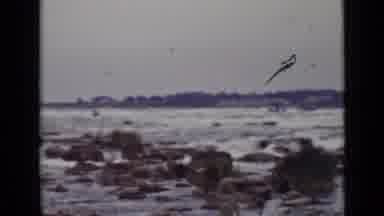 Ontario Canada (1940): Fast-Moving Water Running Over Rocks In A River