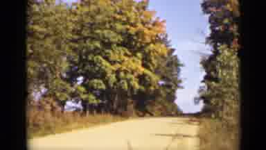 Ontario Canada (1940): View Of Country Road With Dirt Floor Surrounded By