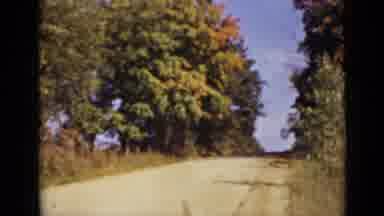 Ontario Canada (1940): Country Road With Autumn Colored Leaves On Trees And Plants