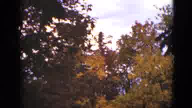 Ontario Canada (1940): The Scary Thing In The Woods That I DonÃ¢â¬â¢T Know