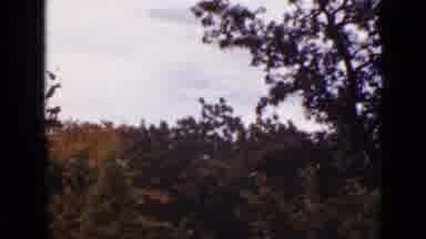 Ontario Canada (1940): View Of Trees Turning Red Yellow Orange And Brown For Fall