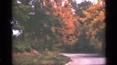 Ontario Canada (1940): Beautiful Autumn Day Brings Breathtaking Natural Beauty