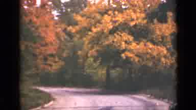 Ontario Canada (1940): Peaceful Country Road With A Slight Breeze Set In Autumn