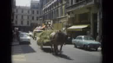 Cannes France (1962): Horse In The Big City