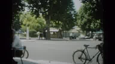 Cannes France (1962): A Quiet Street With Several Trees And Bicycles And